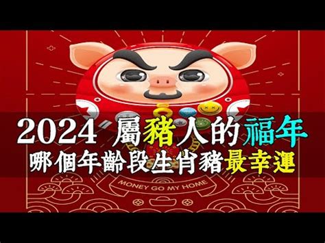 1971豬幸運色2023|【1971生肖】1971生肖豬運勢大解析！十豬九苦是真的嗎？